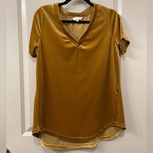 Golden velvet high-low short sleeve shirt size Med fits Large